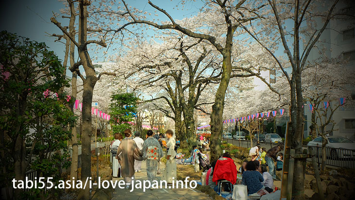 播磨坂さくら並木｜池袋駅から30分以内の桜の名所