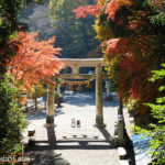 宝登山神社の紅葉（埼玉県秩父郡長瀞町）