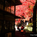 東郷公園秩父御嶽神社の紅葉（埼玉県飯能市）