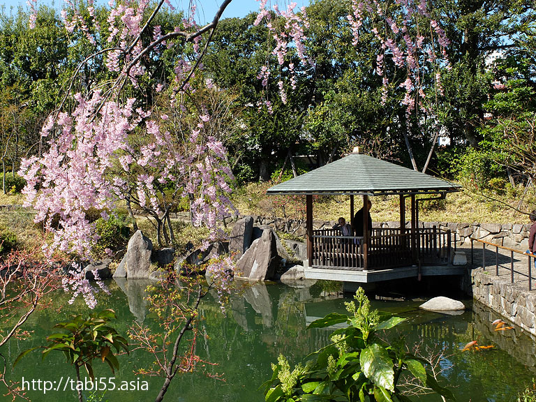 目白庭園／Mejiro garden （東京都豊島区／Tshima-ku Tokyo） 東京都／Tokyo