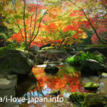 大田黒公園の紅葉は、ライトアップだけじゃない！昼も美しい