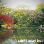 ほんとに都心？有栖川宮記念公園の紅葉（東京都港区）