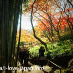 国指定の名勝！殿ヶ谷戸庭園の紅葉（東京都国分寺市）