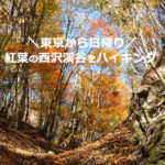 西沢渓谷の紅葉！広瀬湖経由の日帰りルート（山梨）