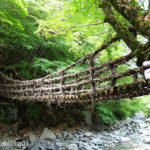 奥祖谷二重かずら橋・野猿（徳島県三好市）