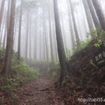 熊野古道／中辺路（和歌山県田辺市）