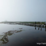 トドワラとナラワラ／Todowara and Narawara（北海道野付半島）