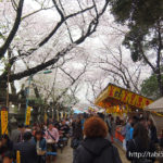 上野東照宮の参道|上野恩賜公園（東京都台東区）／Ueno Park (Taito-ku, Tokyo)