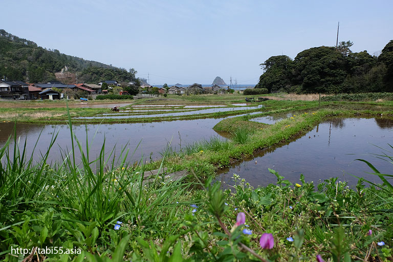 段々畑越しの浄土ヶ浦｜隠岐の島町（島後）の風景