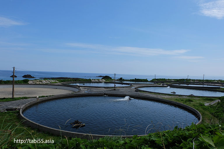 屋久島の巨大水槽