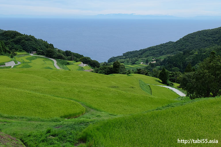 岩首の棚田（新潟県佐渡島）／Iwakubi of terraced rice fields (Sado Island, Niigata Prefecture)