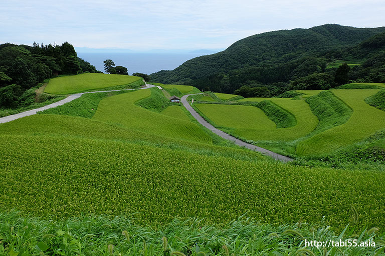 岩首の棚田（新潟県佐渡島）／Iwakubi of terraced rice fields (Sado Island, Niigata Prefecture)