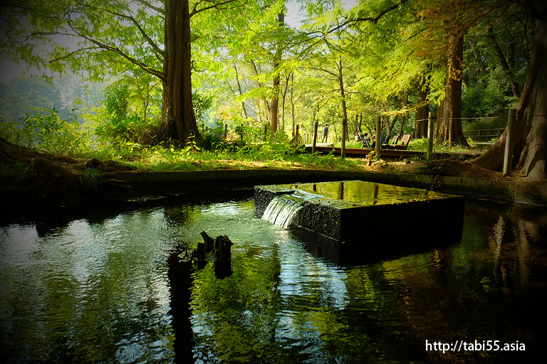 石神井公園（東京都練馬区）／Shakujii Park (Nerima-ku, Tokyo)