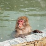 レイトチェックインOK！の温泉が【楽々】みつかる方法