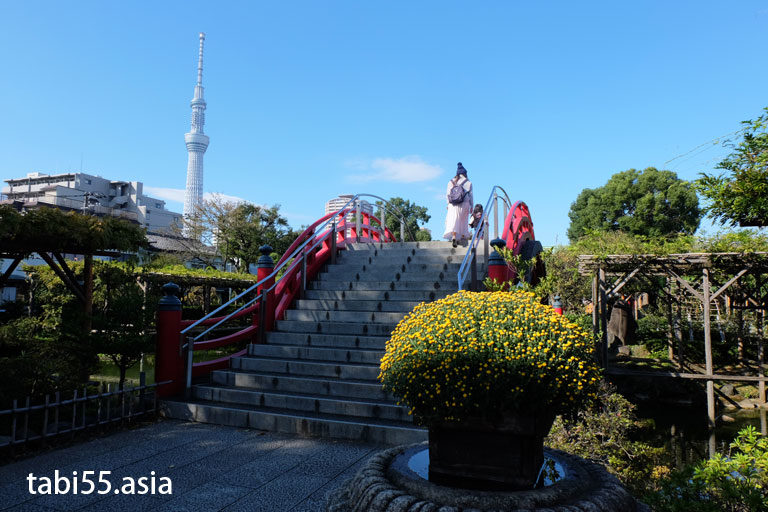亀戸天神社からスカイツリーまで歩いてみた 藤のライトアップも 東京都江東区 ひとり旅ブログ 日本国内 再 発見