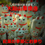 招き猫がてんこ盛り！豪徳寺（東京都世田谷区）