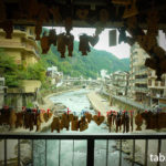 「絵鯉」が泳ぐ！？もみじ橋