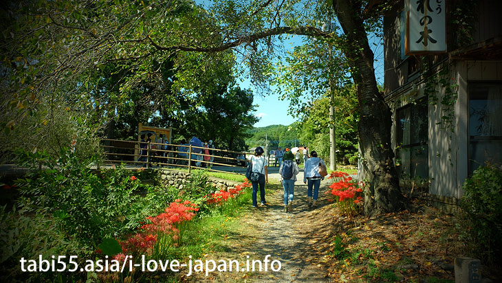 巾着田と一緒に訪れたい！高麗神社など、秋のおすすめ散策コース【池袋から1時間強】