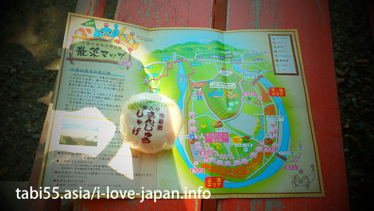 巾着田と一緒に訪れたい！高麗神社など、秋のおすすめ散策コース【池袋から1時間強】