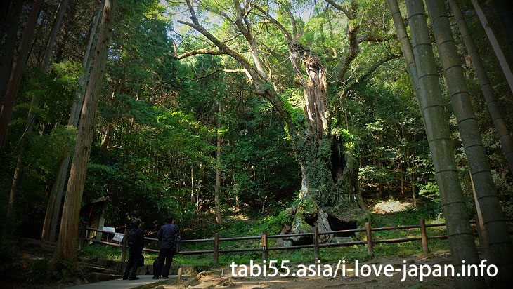 Visit Takeo Shrine again!