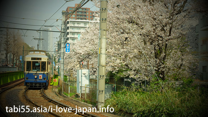 面影橋｜池袋駅から30分以内の桜の名所