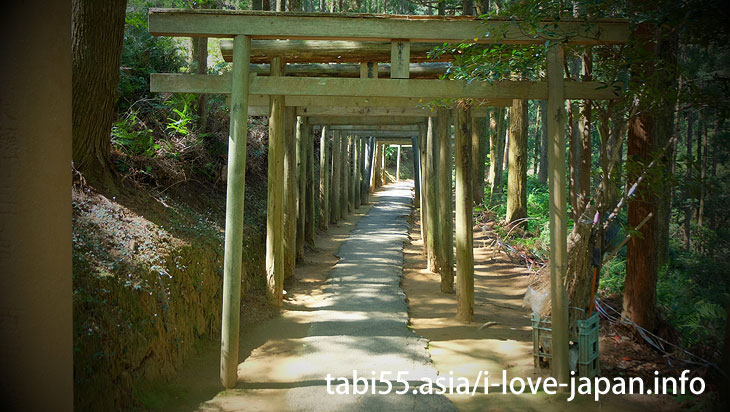 御手洗水神社（みたらいすい）へ公共交通機関でアクセス！宮崎県延岡の町中の秘境