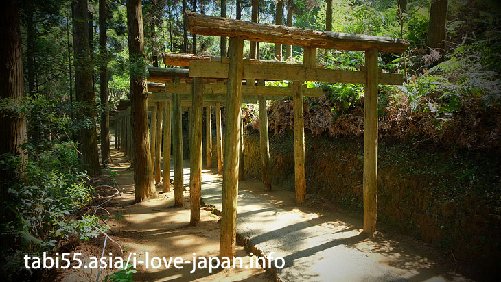 御手洗水神社（みたらいすい）へ公共交通機関でアクセス！宮崎県延岡の町中の秘境