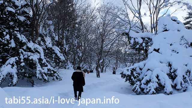 冬の大沼公園！駒ヶ岳が美しい