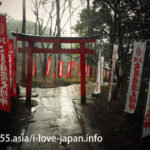 雨の太宰府天満宮を参拝！鳥居が連なる天開稲荷大明神も