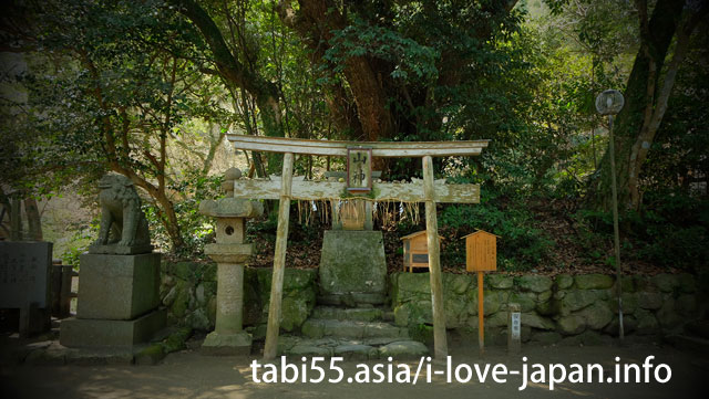 志賀海神社へ参拝