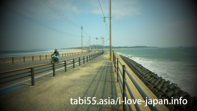 海の中道をお散歩