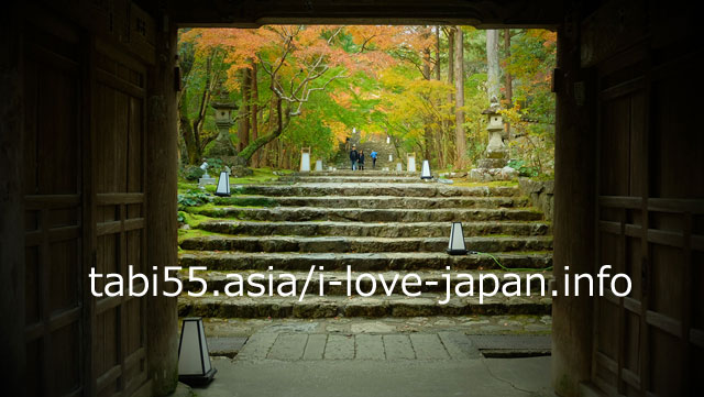 紅葉の竹林寺！庭園は必見