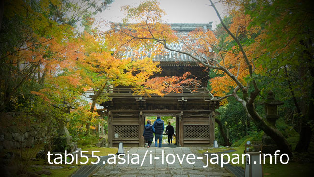 4. Autumnal Chikurin-ji Temple(竹林寺) The garden is a must see
