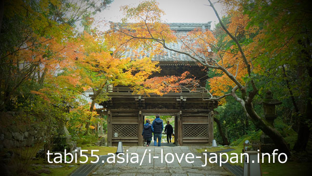 紅葉の竹林寺！庭園は必見