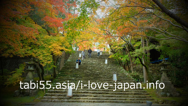 紅葉の竹林寺！庭園は必見