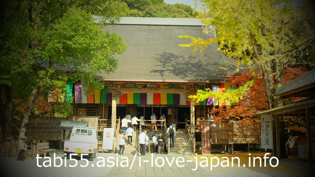 紅葉の竹林寺！庭園は必見