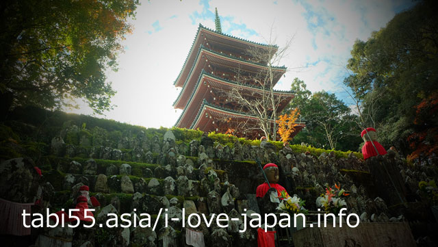 紅葉の竹林寺！庭園は必見