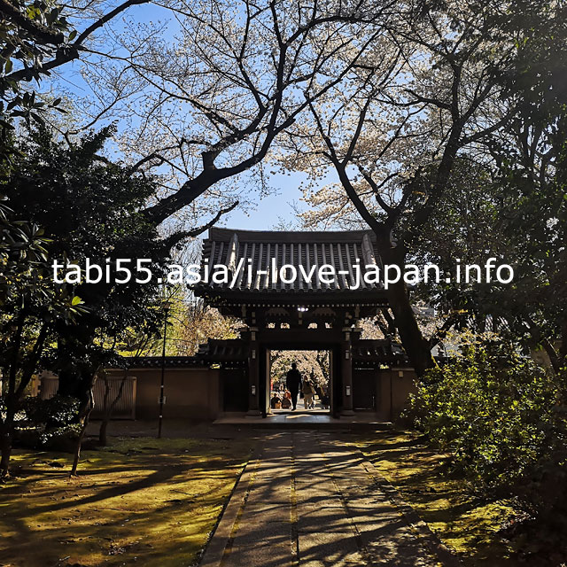 威光山法明寺で、桜を眺めつつ屋台でくつろぐ