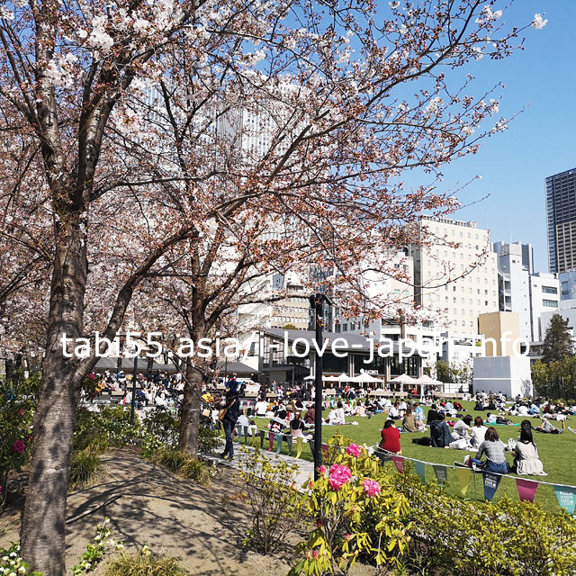 池袋の桜新名所？南池袋公園