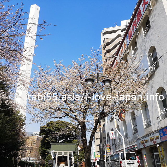 清掃工場の煙突とコラボ！池袋駅前公園の桜