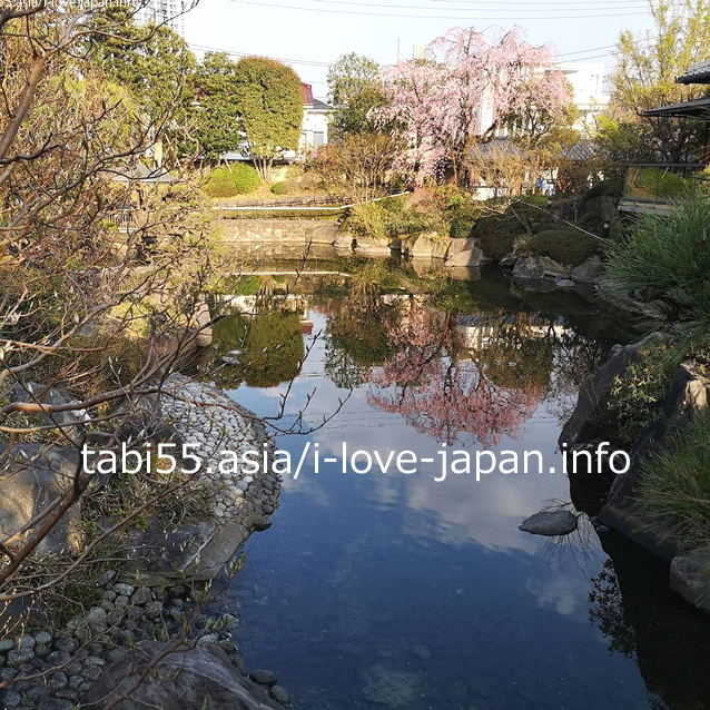 Enjoy the inverted weeping cherry blossoms reflected in the pond in the mini Japanese garden! Mejiro Garden