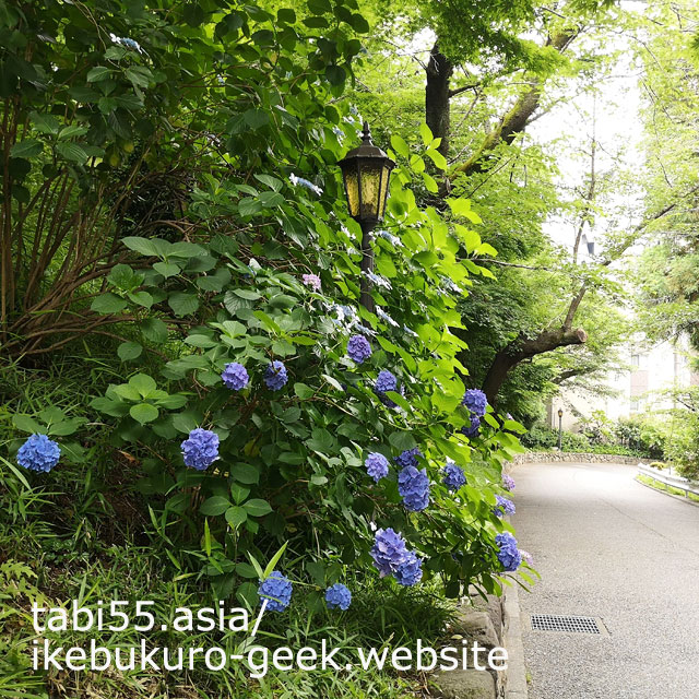 You can see rose,lily,hydrangea in Summer（late June）