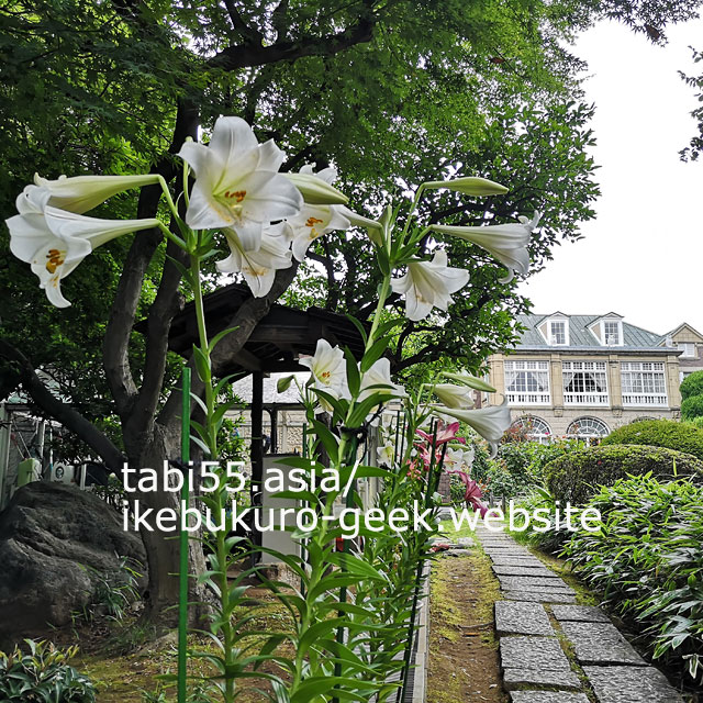 You can see rose,lily,hydrangea in Summer（late June）