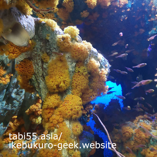 指定時間がきたので、サンシャイン水族館へチケットみせて入場