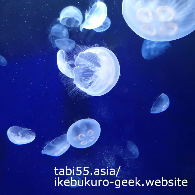 Attract jellyfish in the Sunshine Aquarium,Tokyo ,Japan