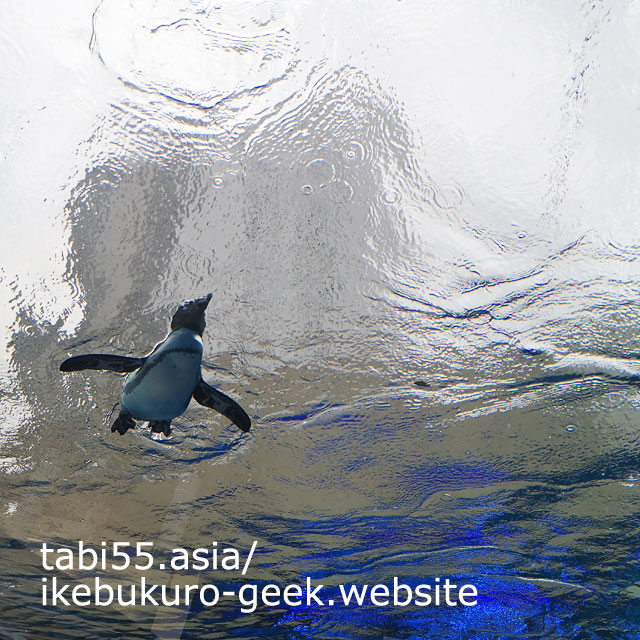 Meet the animals flying in the sky of Ikebukuro at Outdoor Marine Garden- Sky Journey