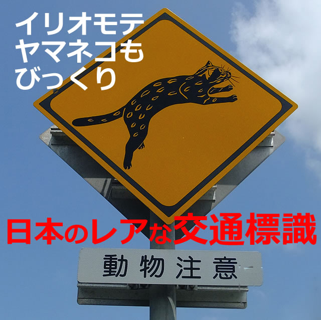 珍しい交通標識！爆笑×面白い×レアな日本の標識【13選】
