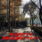 池袋で紅葉狩りするなら？ライトアップも【10選】