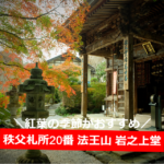 秩父札所×最古の観音堂！20番 法王山 岩之上堂【紅葉の時期がおすすめ】
