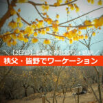 秩父（皆野・長瀞）で一人観光＋ワーケ―ション♪東京近郊！自然・温泉も【2日目】